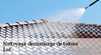 Nettoyage demoussage de toiture