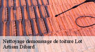Nettoyage demoussage de toiture