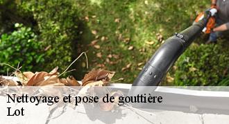Nettoyage et pose de gouttière