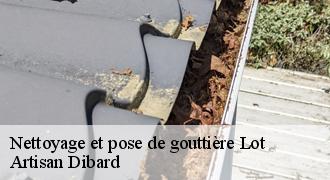Nettoyage et pose de gouttière