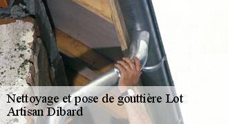 Nettoyage et pose de gouttière