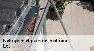 Nettoyage et pose de gouttière