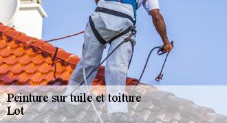 Peinture sur tuile et toiture