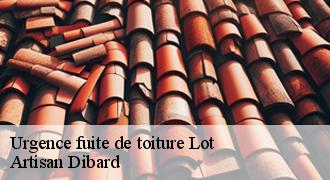 Urgence fuite de toiture