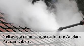 Nettoyage demoussage de toiture