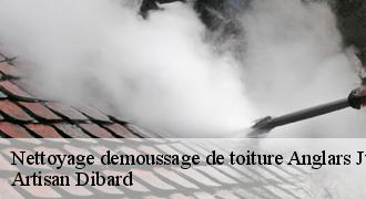 Nettoyage demoussage de toiture