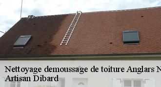 Nettoyage demoussage de toiture