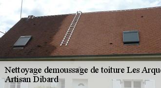 Nettoyage demoussage de toiture