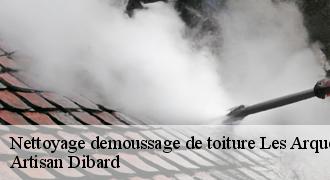 Nettoyage demoussage de toiture