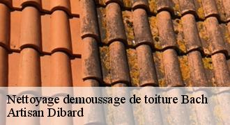 Nettoyage demoussage de toiture