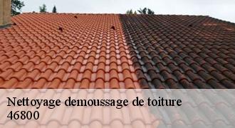 Nettoyage demoussage de toiture