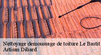 Nettoyage demoussage de toiture