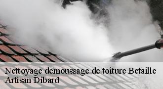 Nettoyage demoussage de toiture