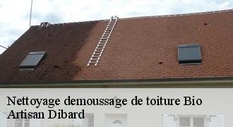 Nettoyage demoussage de toiture