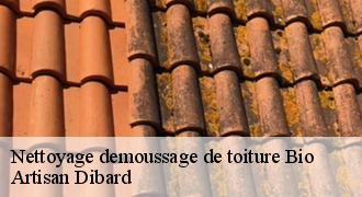 Nettoyage demoussage de toiture
