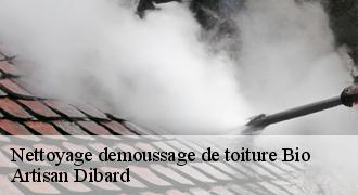 Nettoyage demoussage de toiture