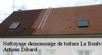 Nettoyage demoussage de toiture
