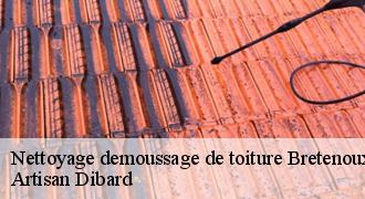 Nettoyage demoussage de toiture