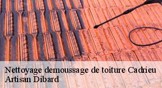 Nettoyage demoussage de toiture