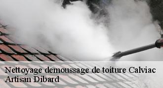 Nettoyage demoussage de toiture