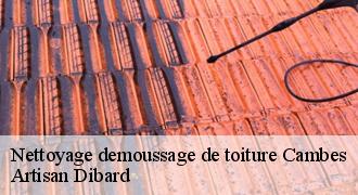 Nettoyage demoussage de toiture
