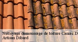 Nettoyage demoussage de toiture