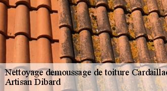 Nettoyage demoussage de toiture