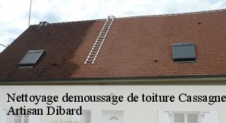 Nettoyage demoussage de toiture