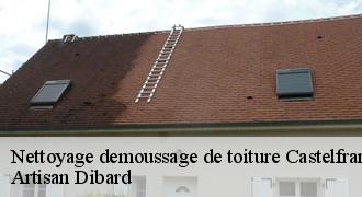 Nettoyage demoussage de toiture