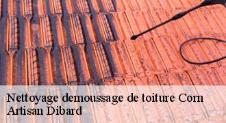 Nettoyage demoussage de toiture