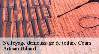 Nettoyage demoussage de toiture
