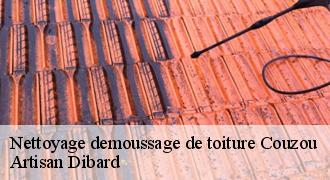 Nettoyage demoussage de toiture
