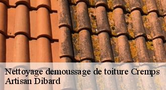 Nettoyage demoussage de toiture