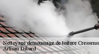 Nettoyage demoussage de toiture