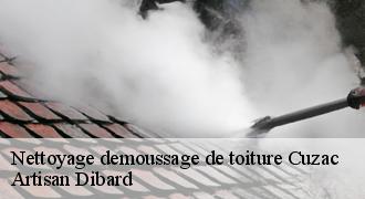 Nettoyage demoussage de toiture