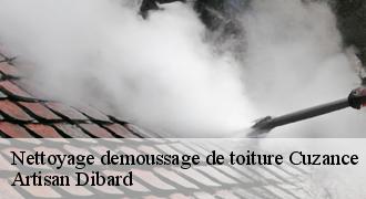 Nettoyage demoussage de toiture