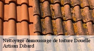 Nettoyage demoussage de toiture