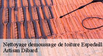Nettoyage demoussage de toiture