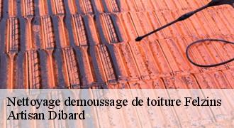 Nettoyage demoussage de toiture