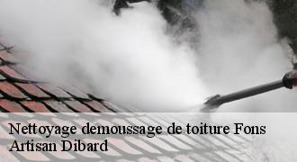 Nettoyage demoussage de toiture