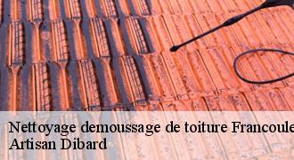 Nettoyage demoussage de toiture