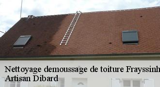 Nettoyage demoussage de toiture