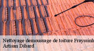 Nettoyage demoussage de toiture