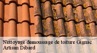 Nettoyage demoussage de toiture