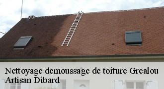 Nettoyage demoussage de toiture