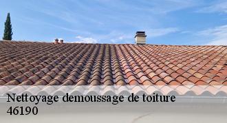 Nettoyage demoussage de toiture