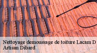 Nettoyage demoussage de toiture