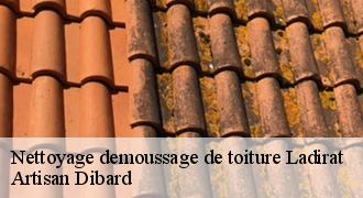 Nettoyage demoussage de toiture