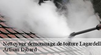 Nettoyage demoussage de toiture