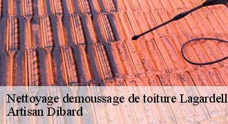 Nettoyage demoussage de toiture